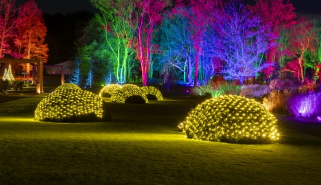 RHS garden Bridgewater light display